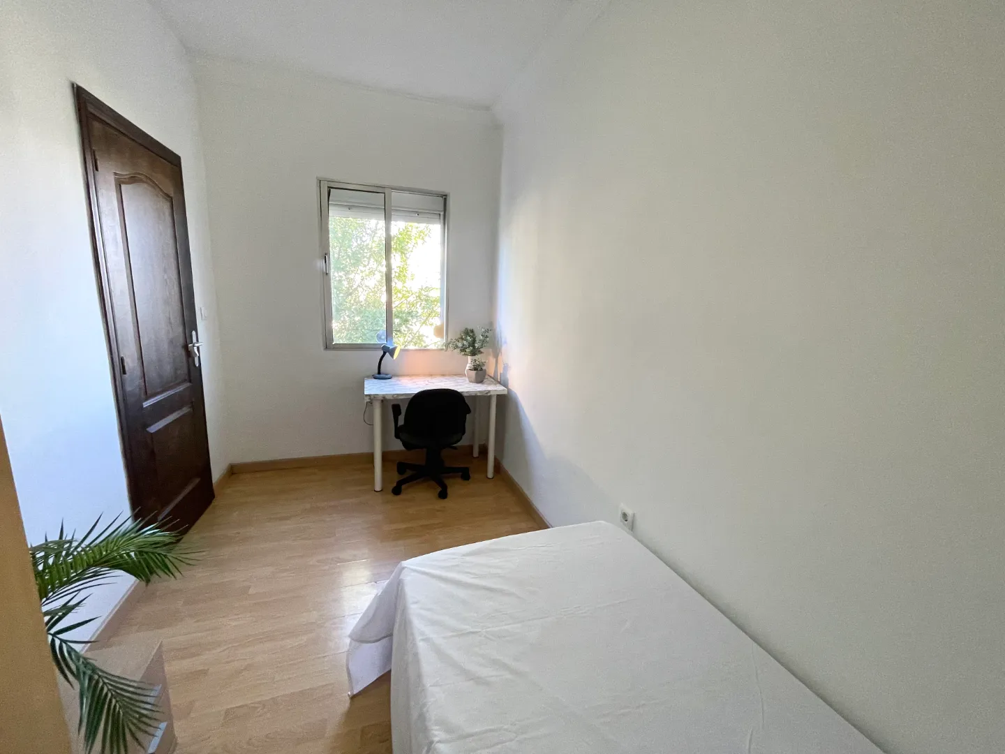 Habitación en Alvar Nuñez 55, 4ºIzquierda ALV_3
